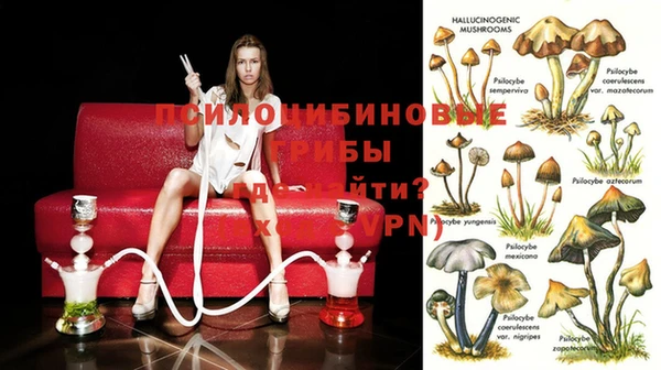 прущие крисы Горно-Алтайск