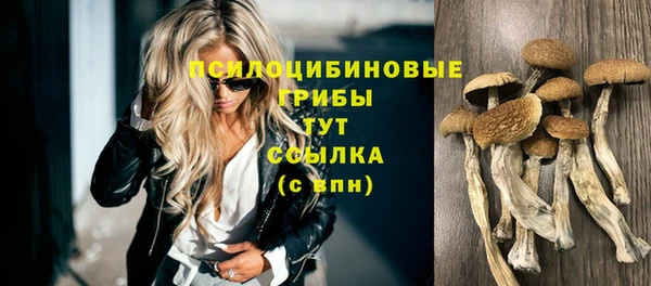 прущие крисы Горно-Алтайск