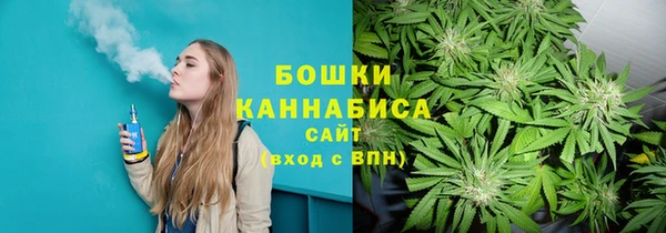 твердый Горнозаводск