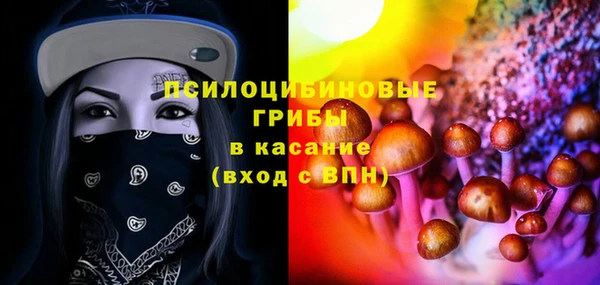 меф Горняк