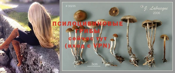 меф Горняк