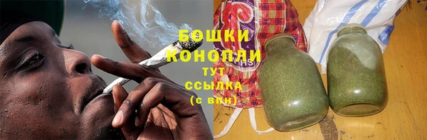 твердый Горнозаводск