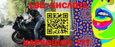 стафф Будённовск