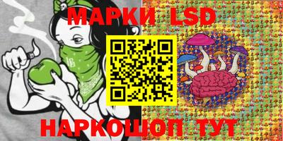 стафф Будённовск