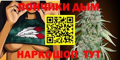 крисы Бузулук