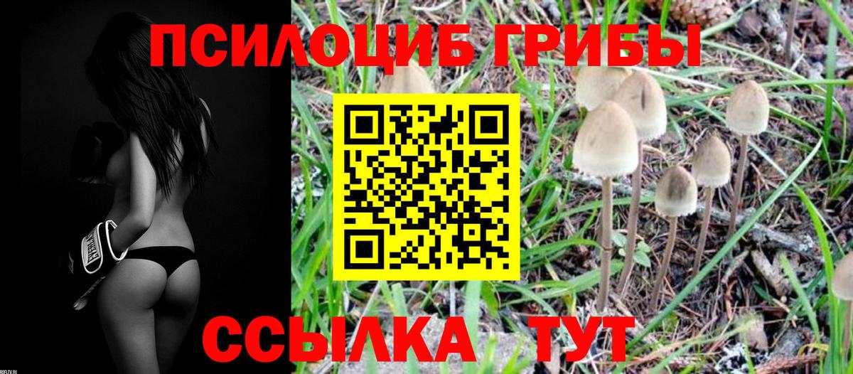 Галлюциногенные грибы Psilocybine cubensis Джанкой