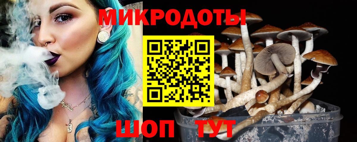 хочу наркоту  Джанкой  Псилоцибиновые грибы Psilocybine cubensis 